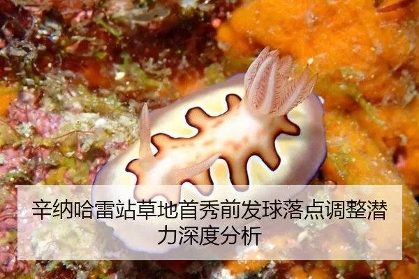 辛纳哈雷站草地首秀前发球落点调整潜力深度分析